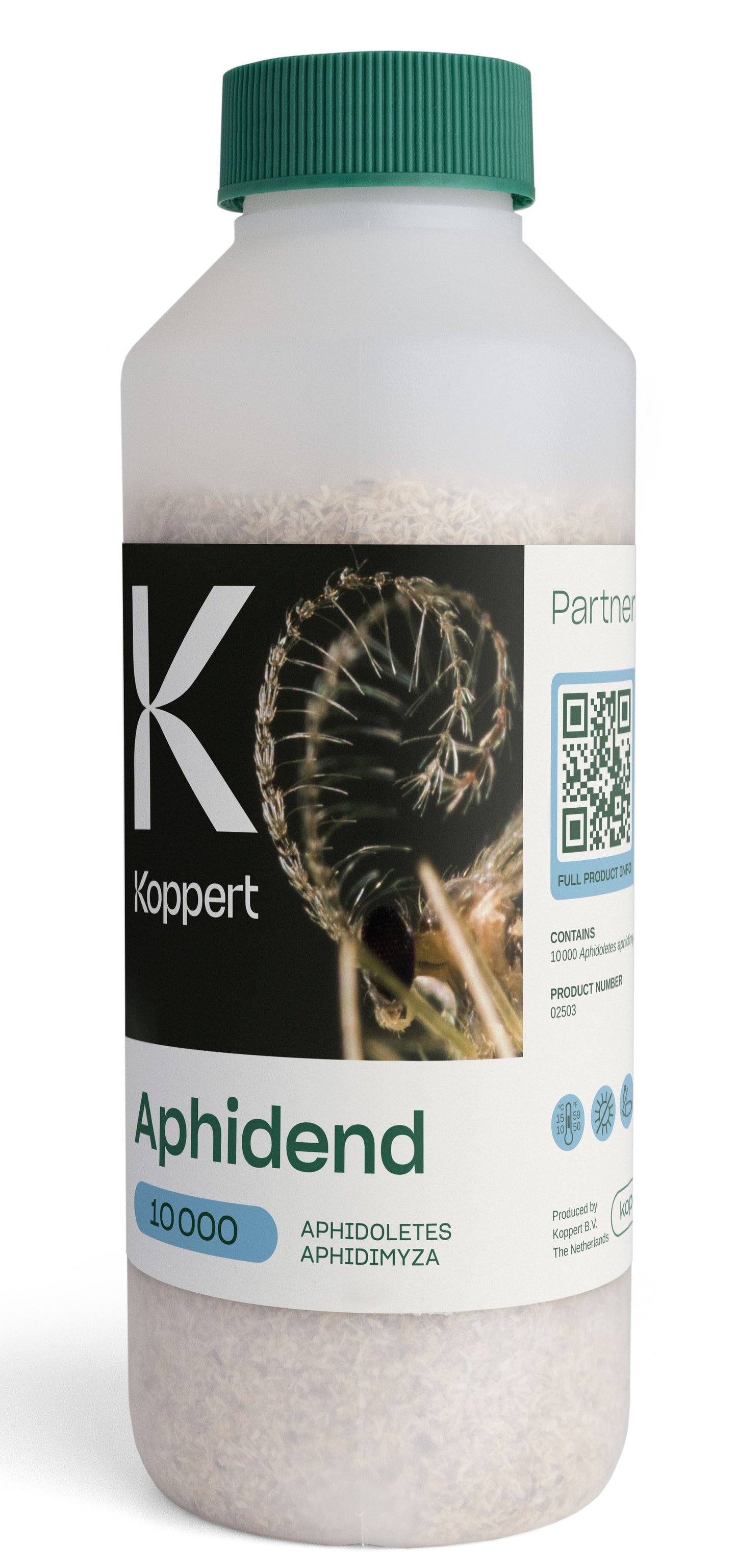 Aphidend x10,000 (Aphidoletes aphidimyza)