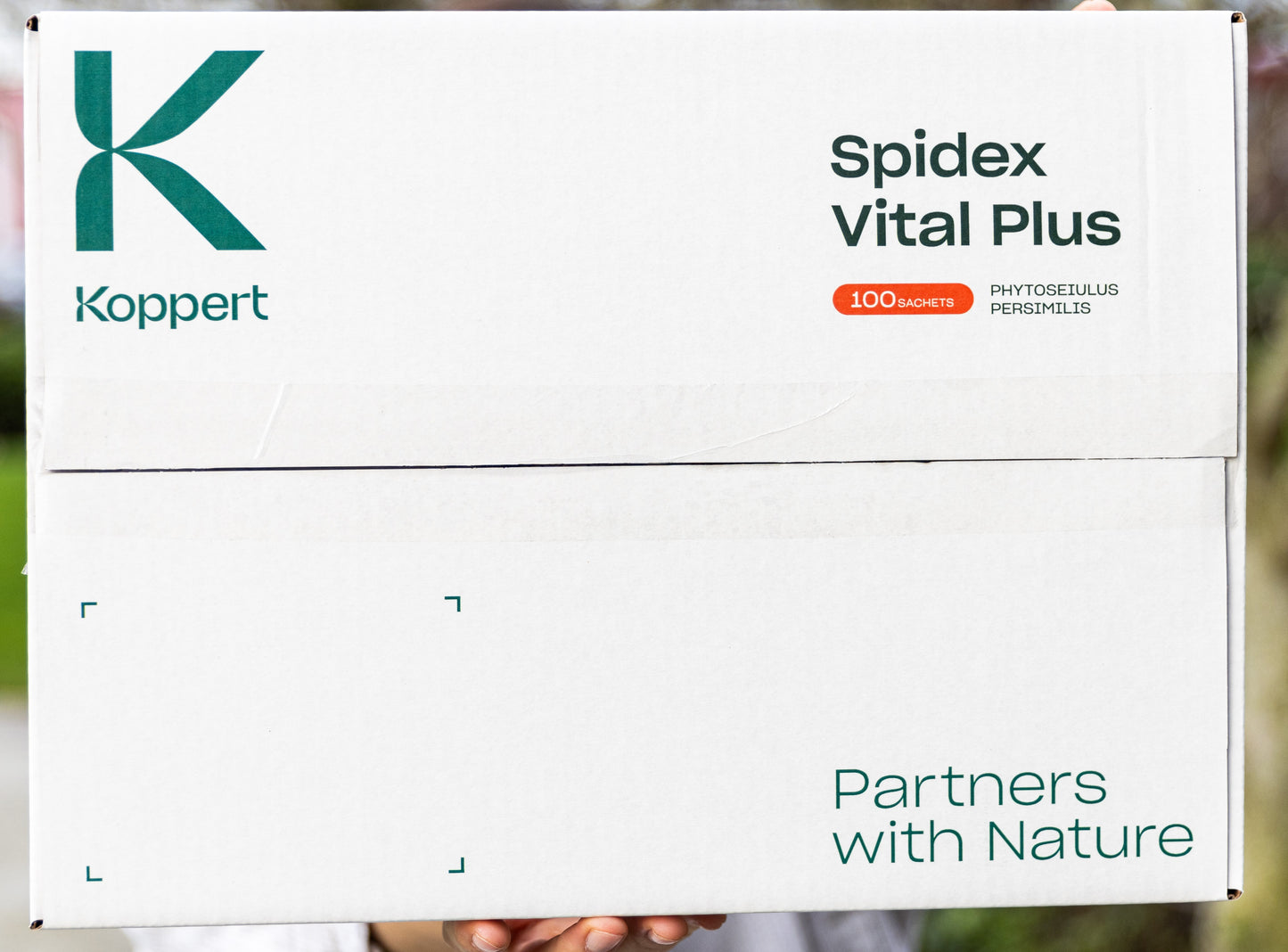 SPIDEX VITAL PLUS x250 250 sachets
