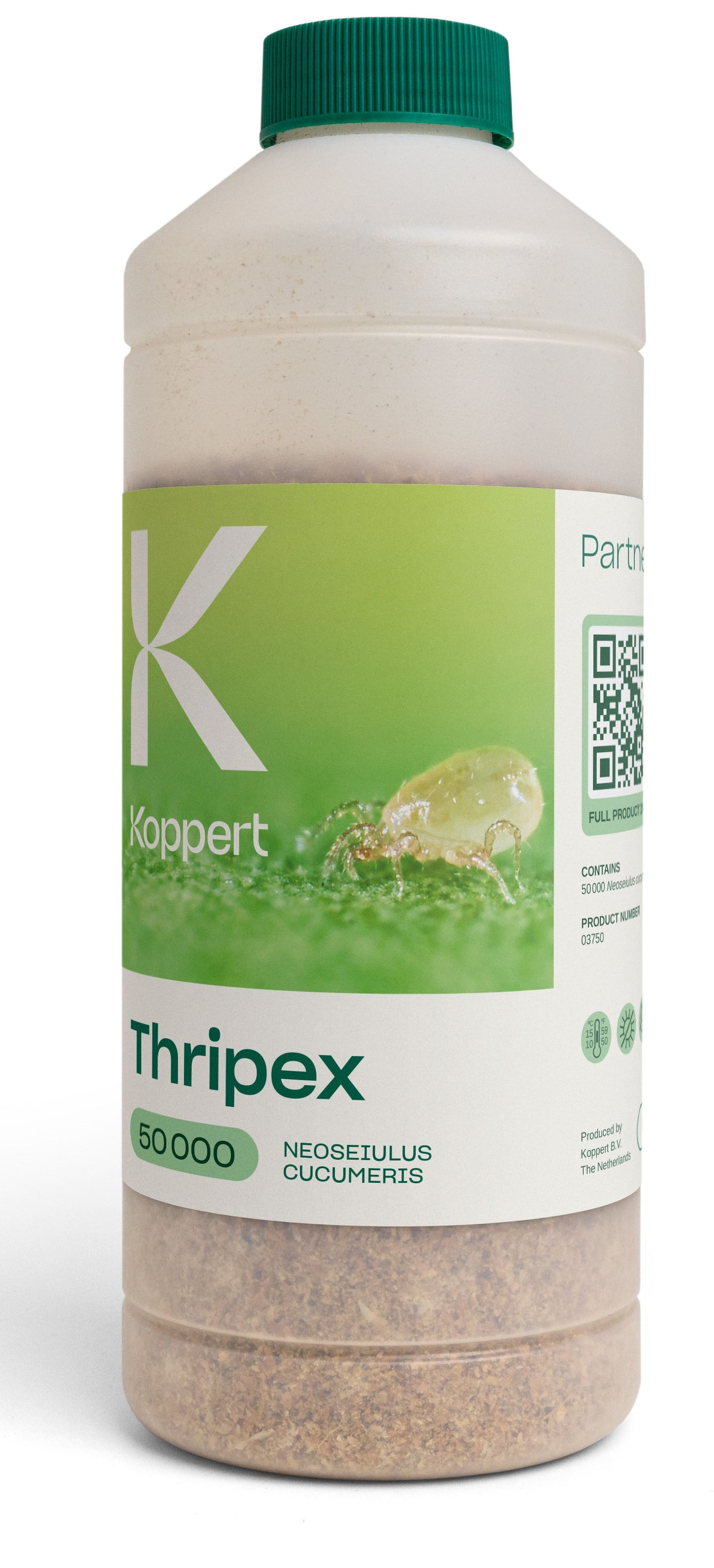 Thripex x50,000 (Neoseiulus cucumeris)