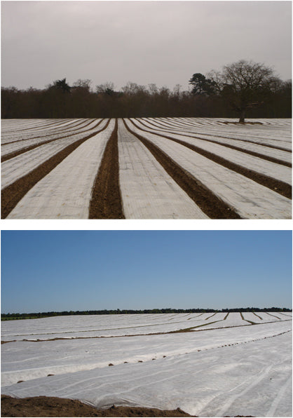 Crop Cover - Polythene