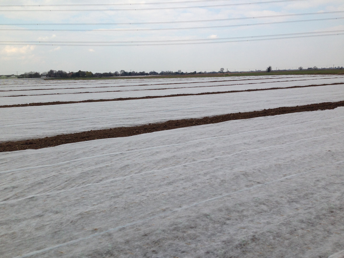 Crop Cover - Polythene
