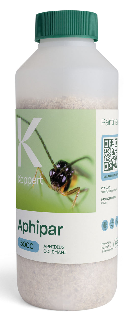 Aphipar x5,000 (Aphidius colemani)