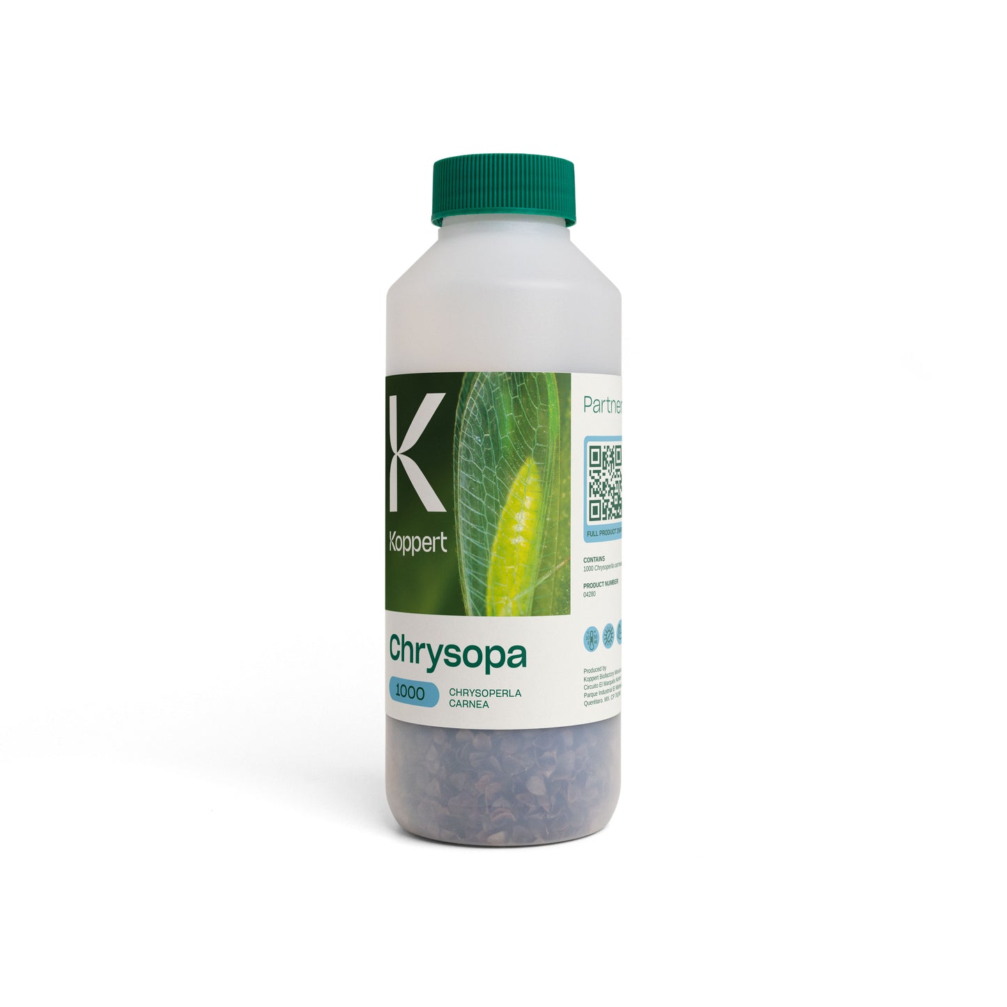 Chrysopa x1,000 (Chrysoperla carnea)