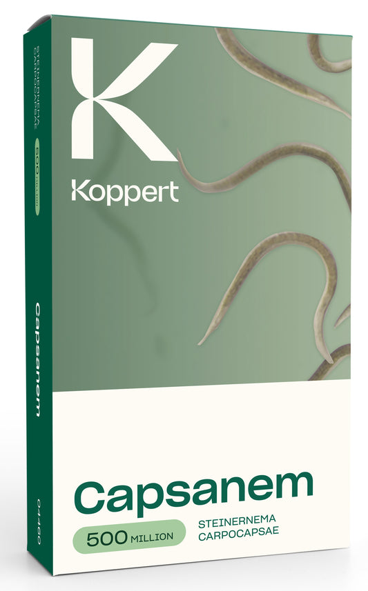 Capsanem 2x250 million (Steinernema carpocapsae)