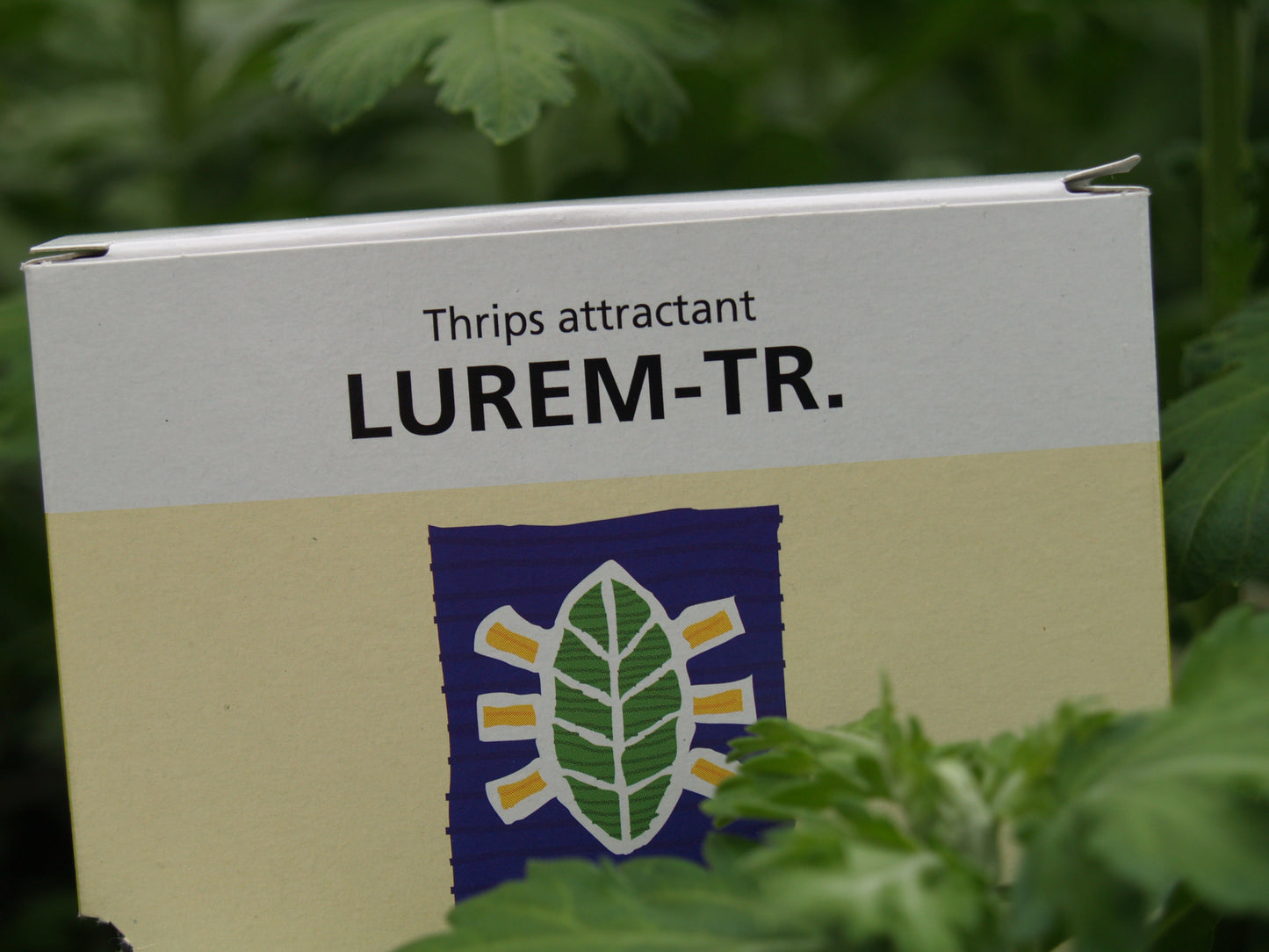 Lurem-TR (Thrips kairomone)