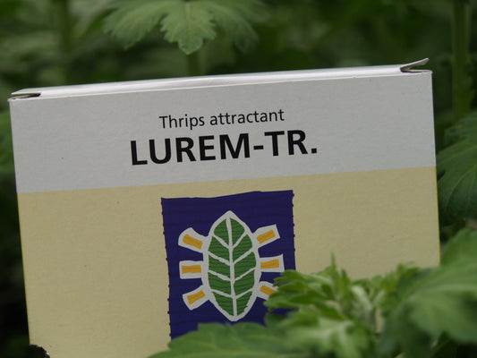 Lurem-TR (Thrips kairomone)