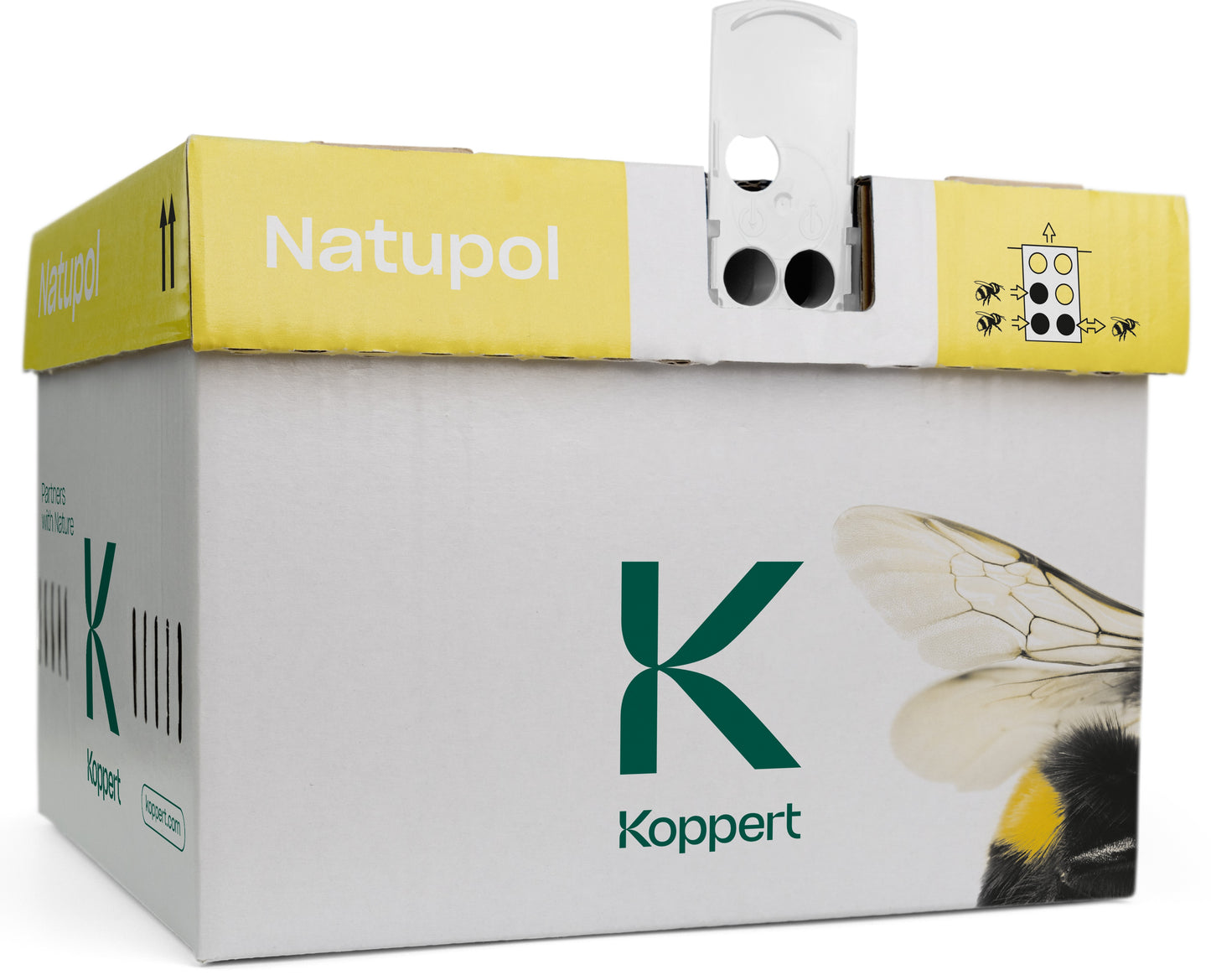 Natupol Standard Audax Hive